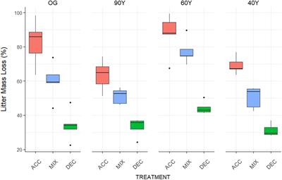 Soil carbon dynamics are linked to tree species growth strategy in a naturally regenerating tropical forest